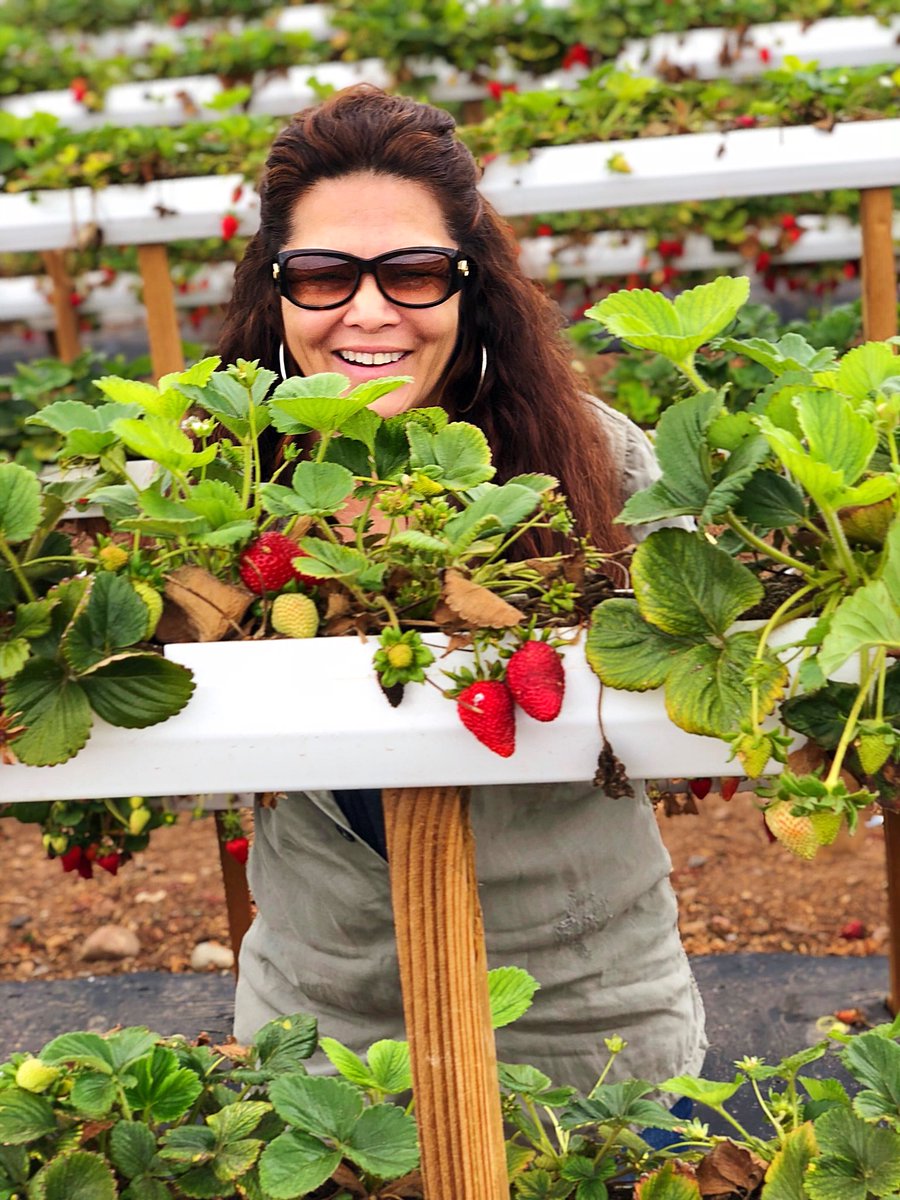 1perfectbite's tweet photo. My amazing Mother’s Day with my family. They never cease to amaze me with surprises. Love you all. #farmersmarket #farmlife #MothersDayWeekend #MomsLoveNonStop #OneForMom #STRAWBERRYFARM #lovemylife https://t.co/kq2CLOd6Wf