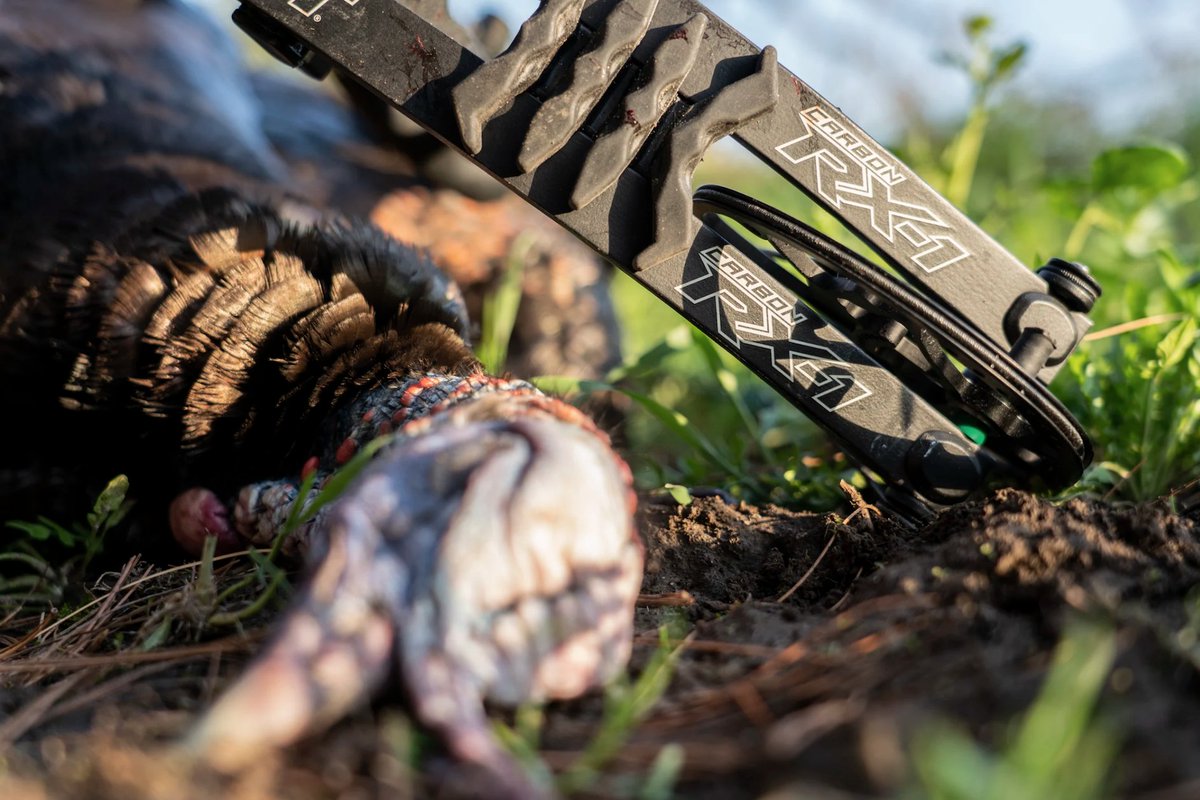 HOYTARCHERYInc's tweet photo. Dirt nap.
Midwest Whitetail | #REDWRX #GetSeriousGetHoyt https://t.co/U6PrMCNXrA