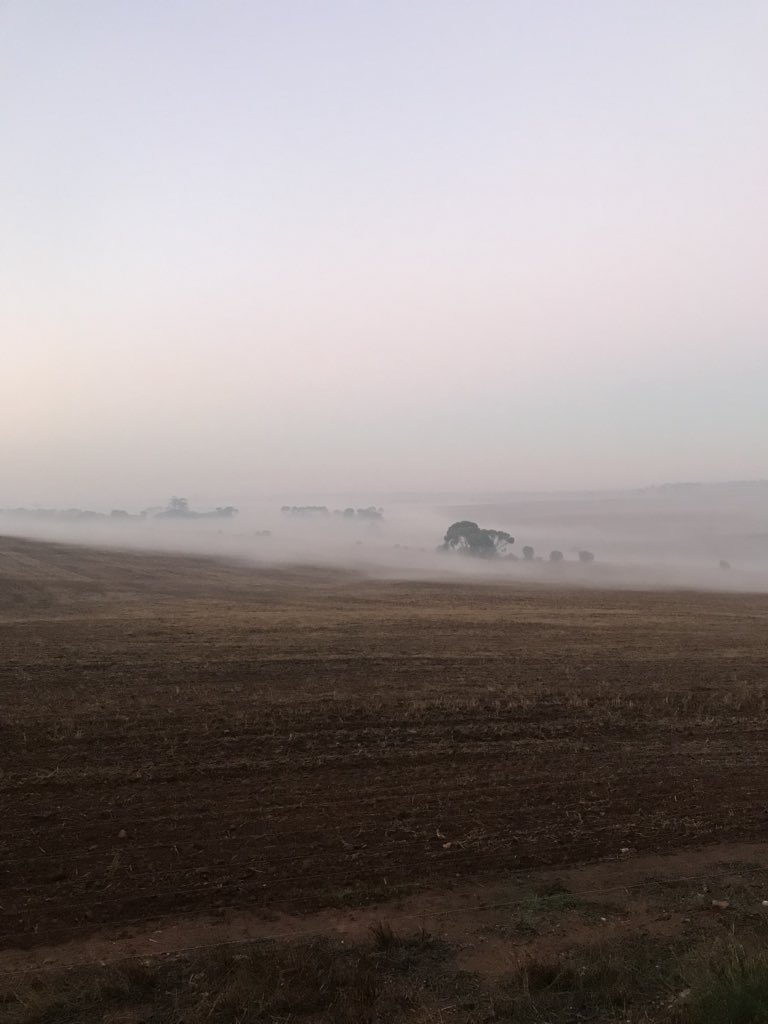 branson7jason's tweet photo. Cold start to the day https://t.co/GYDGBDeHcZ