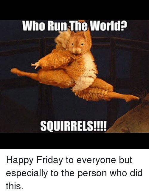 Ahrcanum On Twitter Y All See A Squirrel Caused A Power Outage At Busch Gardens Amusement Park In Tampa Fl Usa Whoops Https T Co I0rnwezmz1 Https T Co Kxz883nl3w