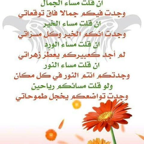 #صورة_ملف_شخصي_جديدة