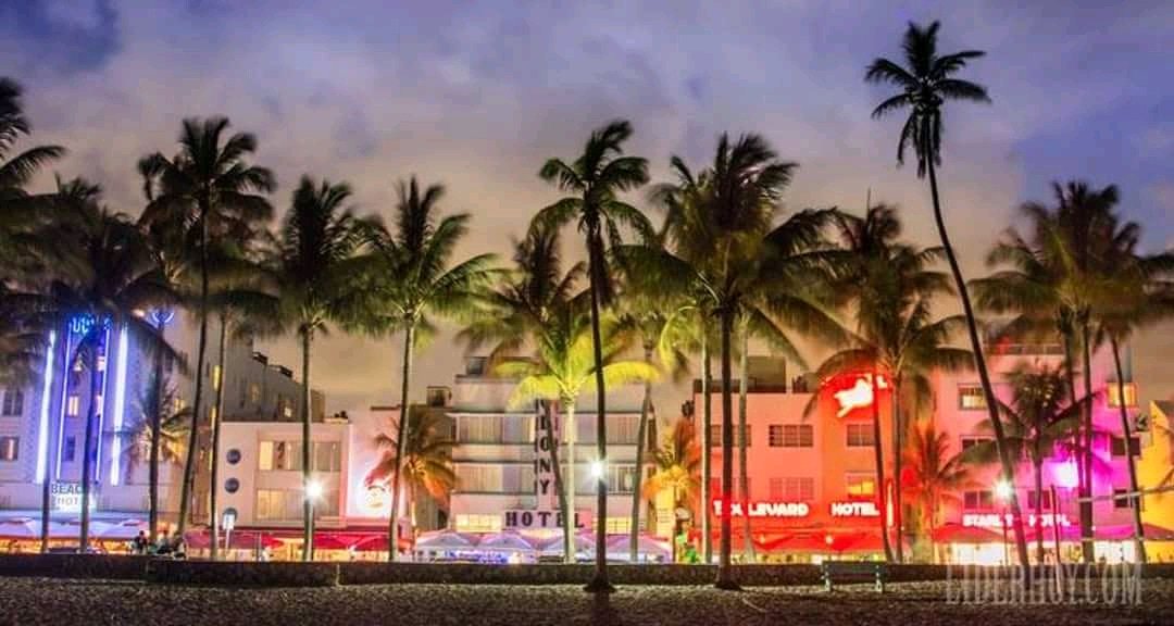AlSelvaggio's tweet photo. Siempre una noche mágica en #Miami https://t.co/51tfh9AiUs