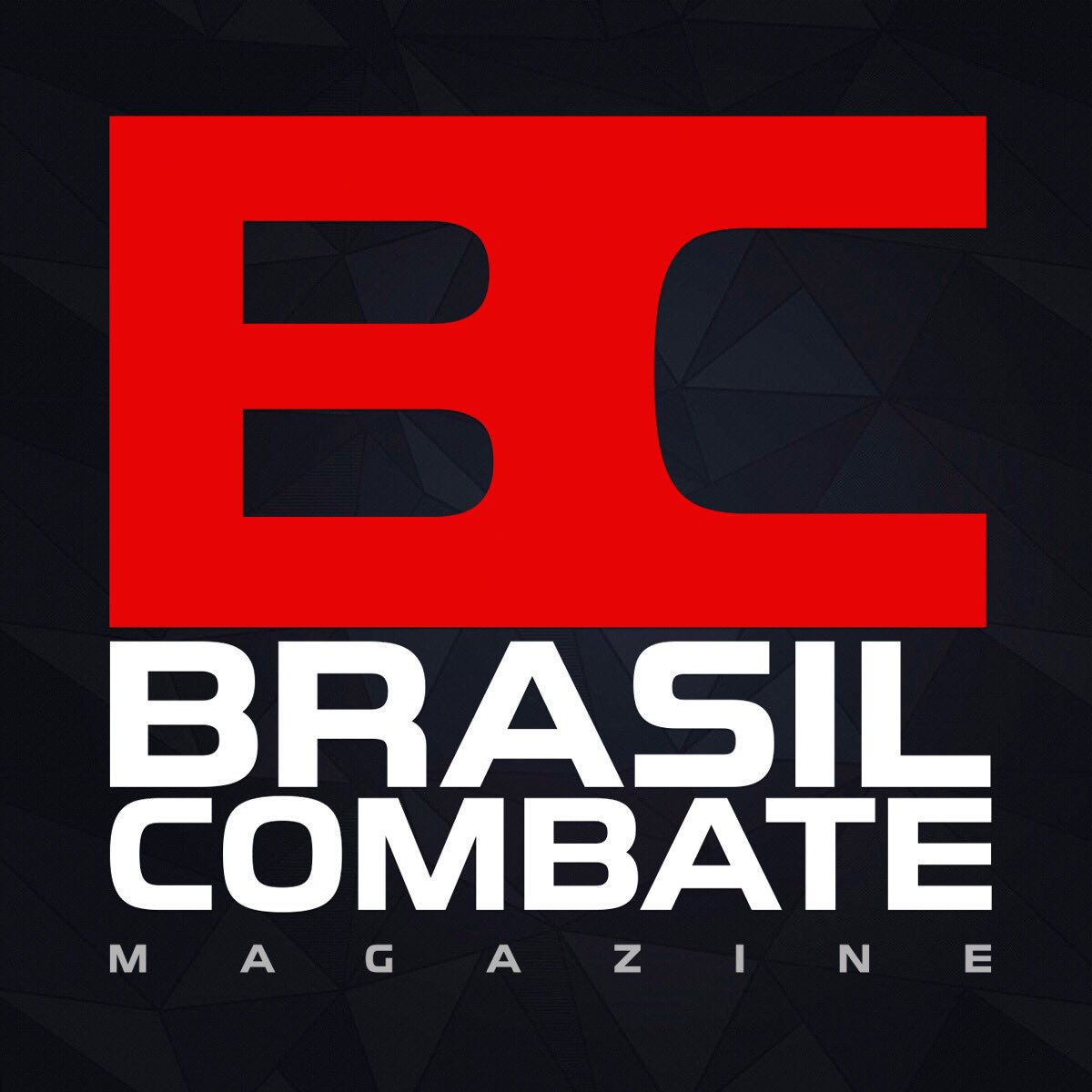 BrasilCombate tweet picture