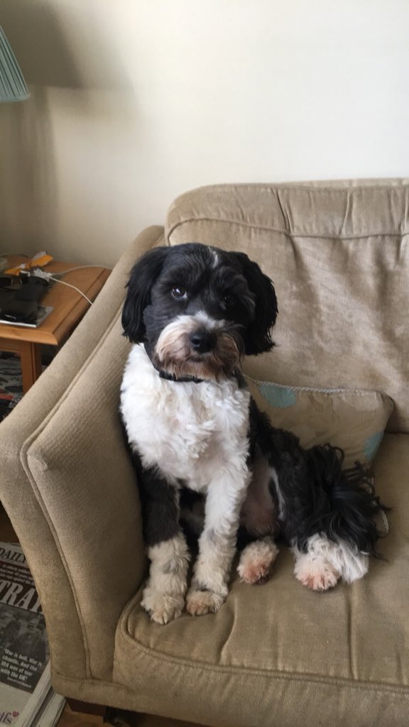 Thanks to the lovely team at <a href="/SWolstanton/">Starbucks Wolstanton</a> for providing Ted a tasty treat today. He is rather fussy with food but did eventually eat it.. thanks again!