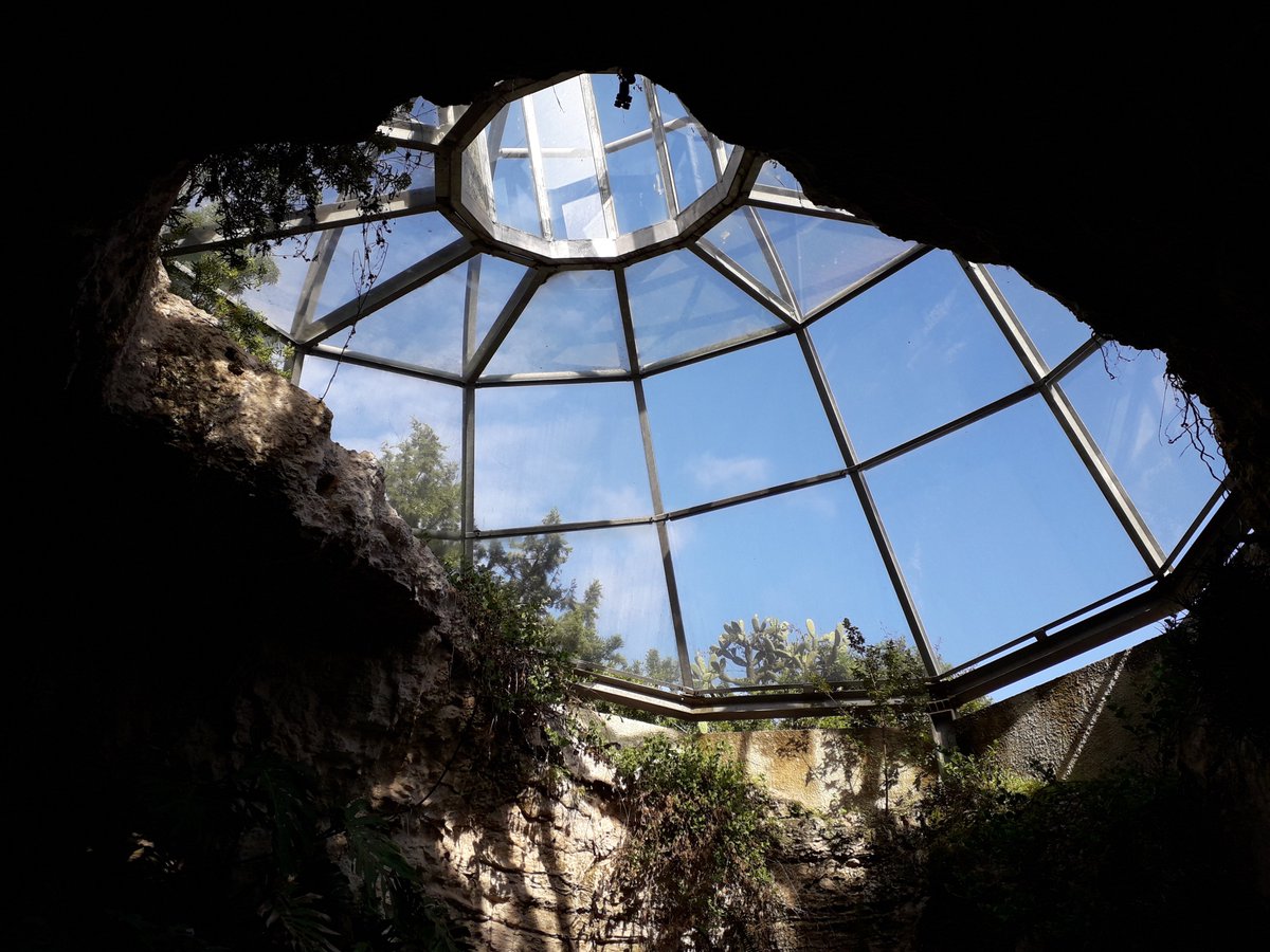 Francadidi's tweet photo. Orto Botanico #Cagliari #MonumentiAperti18 https://t.co/0FPyqOJ6Um