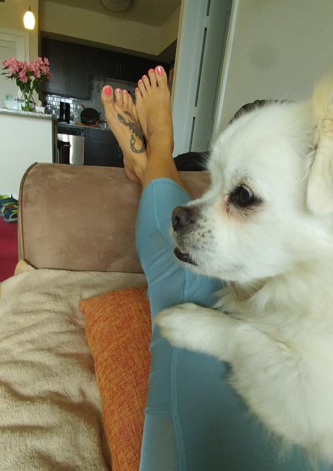 Doing absolutely nothin today😁.  Thanks for the lovely Mothers Day flowers @AlexAdamsXXX https://t.c<a href="/tag/joi"class="tags"><span>#joi</span></a><a href="/tag/footworship"class="tags"><span>#footworship</span></a><a href="/tag/footdomination"class="tags"><span>#footdomination</span></a><a href="/tag/footsmelli"class="tags"><span>#footsmelli</span></a>