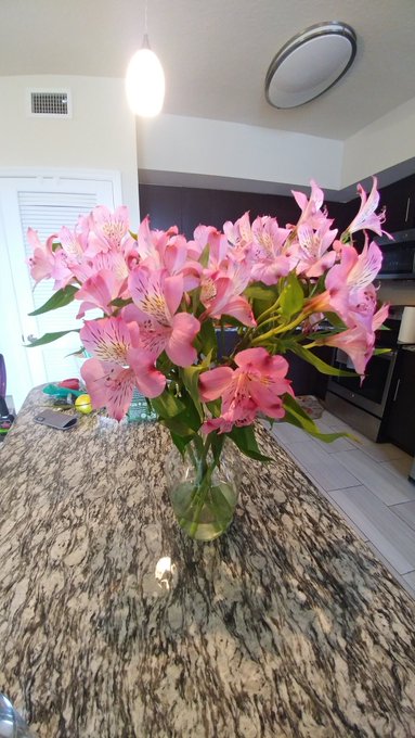 Doing absolutely nothin today😁.  Thanks for the lovely Mothers Day flowers @AlexAdamsXXX https://t.c<a href="/tag/joi"class="tags"><span>#joi</span></a><a href="/tag/footworship"class="tags"><span>#footworship</span></a><a href="/tag/footdomination"class="tags"><span>#footdomination</span></a><a href="/tag/footsmelli"class="tags"><span>#footsmelli</span></a>