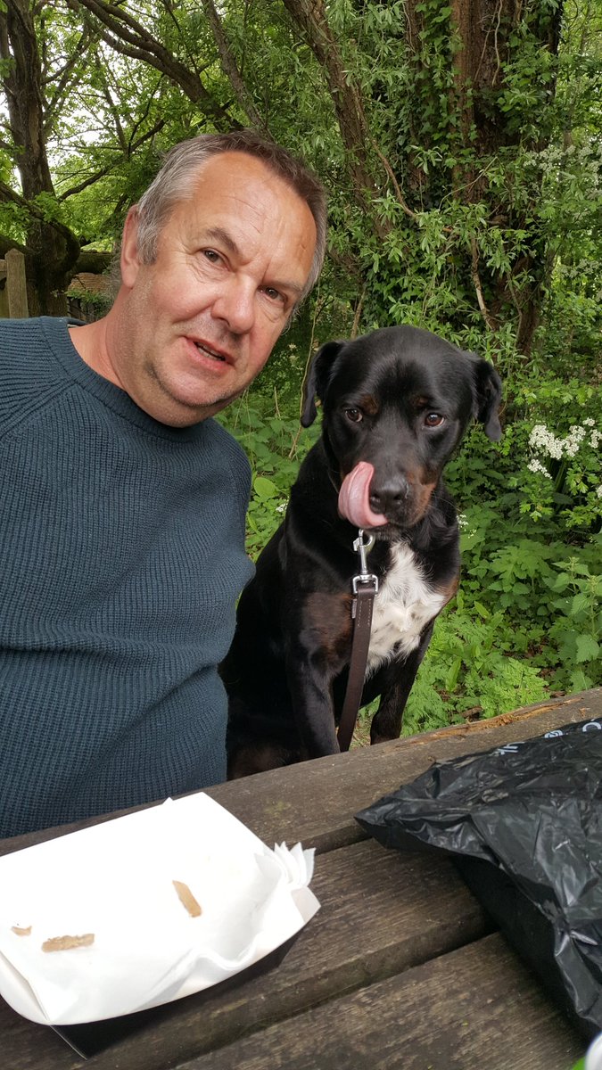 Kirk30Kirk's tweet photo. #dinnerinthedog. Happy Ash and his best friend Copper Billy dog. https://t.co/otkIbBZcJF