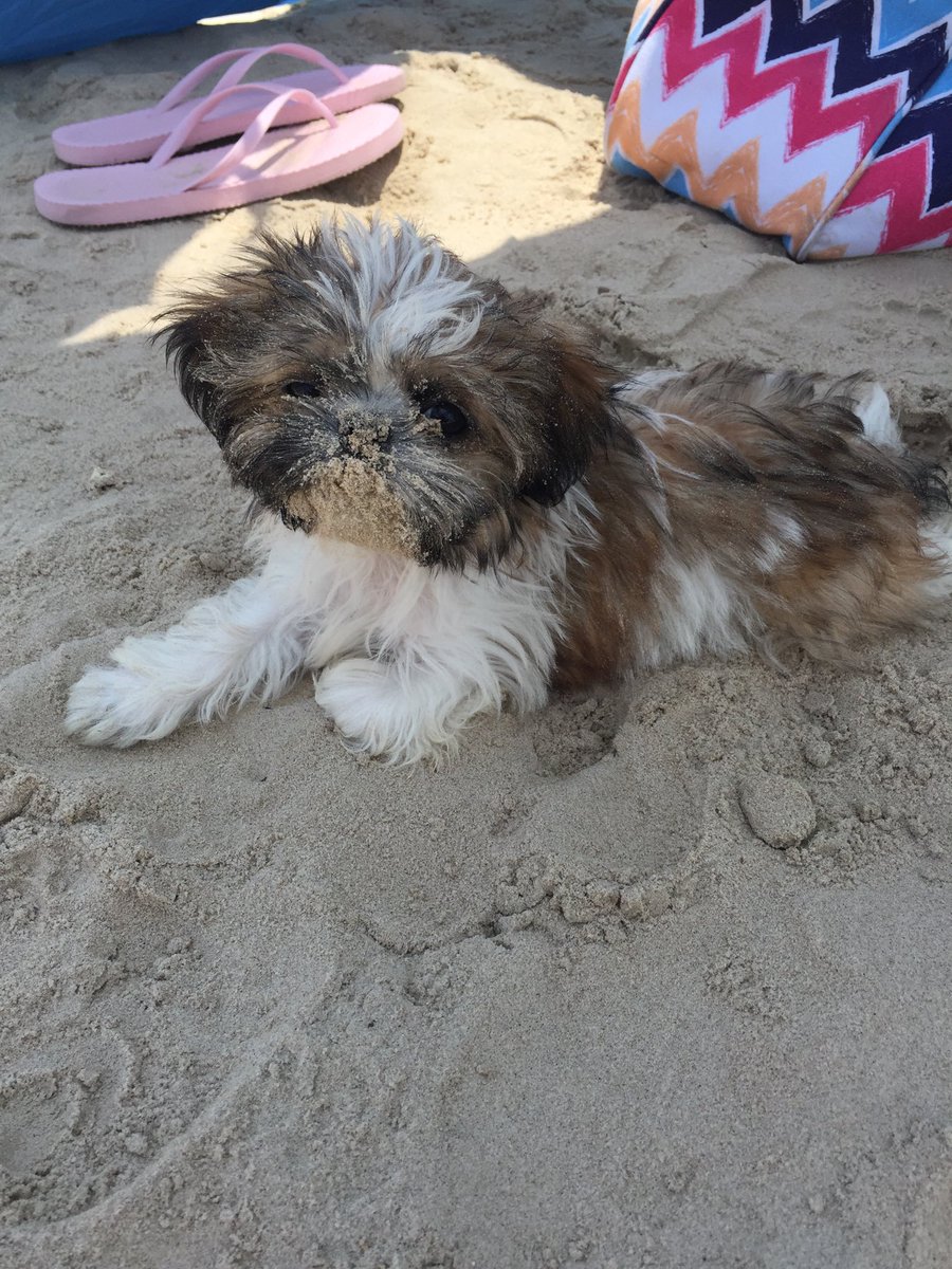 23ty26lex's tweet photo. Babies first day the beach in Texas. https://t.co/qmcdJrnaU4