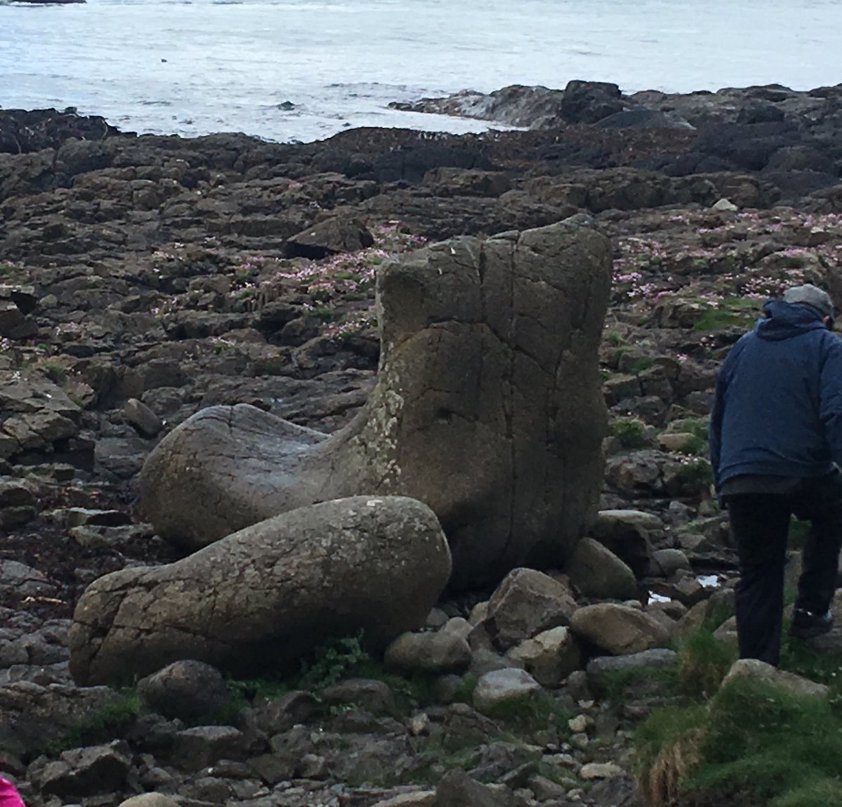 francesmcveigh's tweet photo. Remarkable walks along the #GiantsCauseway cliffs and #Runkerry Head with a detour to the Giants ‘walking’ boot 💚☀️😀👍 #nihillwalker https://t.co/7sS8BRNdBN