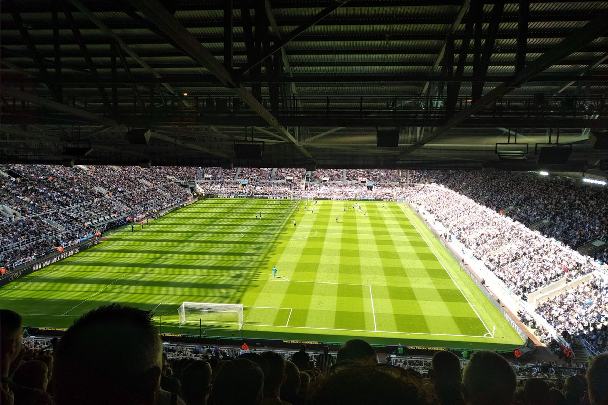 ChiOnwurah's tweet photo. Fantastic end to the season on & off the pitch - great support for @nufcfoodbank from #GenerousGeordies inc these stylish canine fans of the Black & White #nufc #NEWCHE #3Nill https://t.co/HvFvya6Iy0
