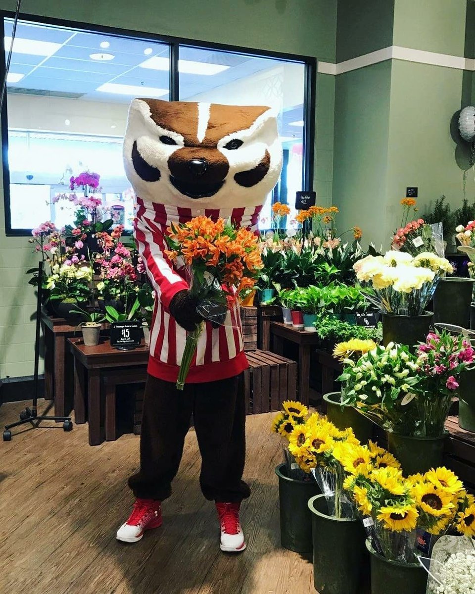 UWBuckyBadger tweet picture