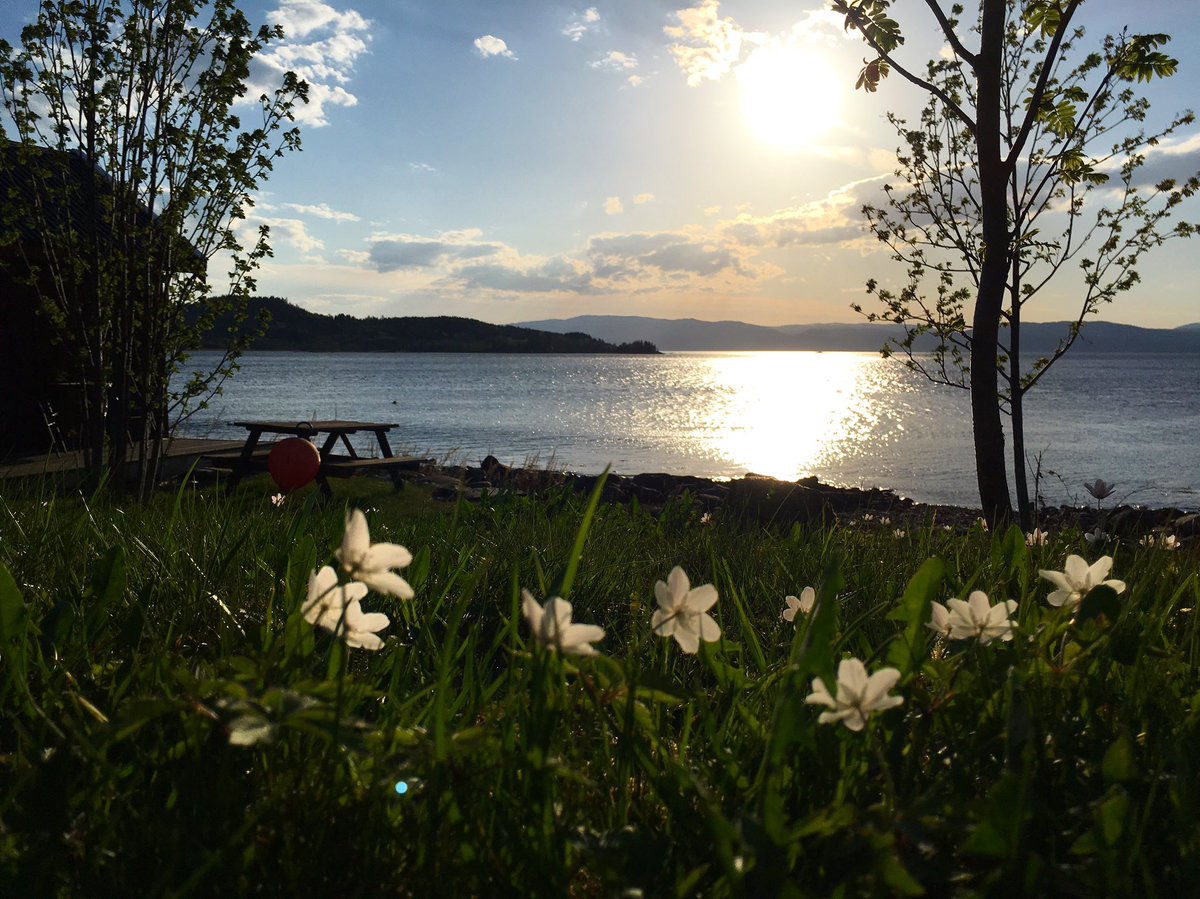 Härlig helg på hytta! 
#våren #hytta #trøndelag #Norge