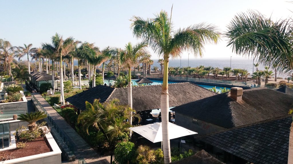xacobebf's tweet photo. Maravillados en @GMelia_Isora @MeliaHotelsInt #meliamola #mojitopower #relax #enjoy Gracias por la bienvenida https://t.co/vvJu4K8JlM