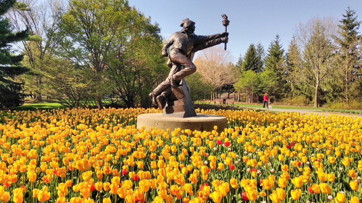 1MillionTulips's tweet photo. One Million Tulips. Canadian Tulip. The Olympic Flame. #Tulips #RABIN #OneMillionTulips #RabinPhotography #TulipFestival #WorldOfTulips #WorldOfFriendship #Ottawa #TulipsInCanada @CdnTulipfest @worldloveflower @JapanToday @I_Love_Ottawa @ottawacity #mothersday2018 https://t.co/XCjswB08Uz