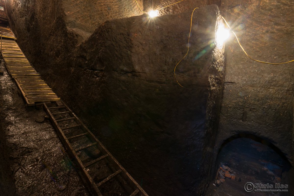 FoWT's tweet photo. A #LandMark week, finished emptying infill from #BanquetingHall & #Gash. There's quite a slope down from the #SandstoneArch now & an amazing view up into the Banqueting Hall.
Quite a bit of tidying & rearanging today.
We also started to break through the wall in the New Tunnel https://t.co/PSOoQ1H5dx