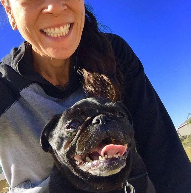 #seniorpugsrule #organicpetboutique #happypugmothersdaytome #spcala🐾 #happypugmom #pugmodelsofinstagram #nebbie🐽 #nursenebbie