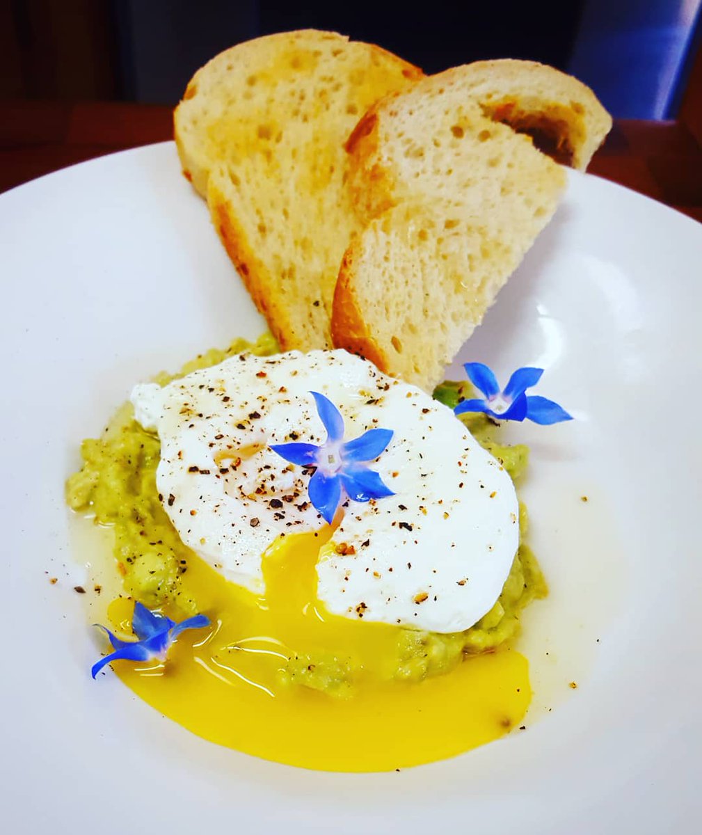 pileofchef's tweet image. An #egg looks better when its guts are spilling out.  #getupinthere #getallupinmymouthpouch
#poachedegg, #avocadmash, #borage, #crackedblackpepper, #sourdoughtoast .
#poachedandtoast #avocadotoast #avocado #flowers #foodie #food #sacramento #chef #cheflife #privatechef #pilestyle