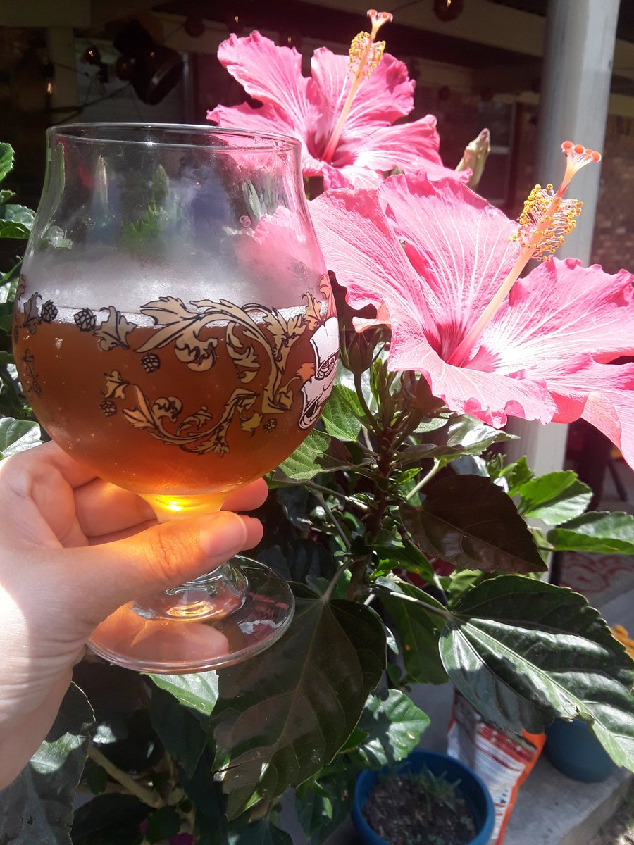 Murphy's Law Brew Co tweet media