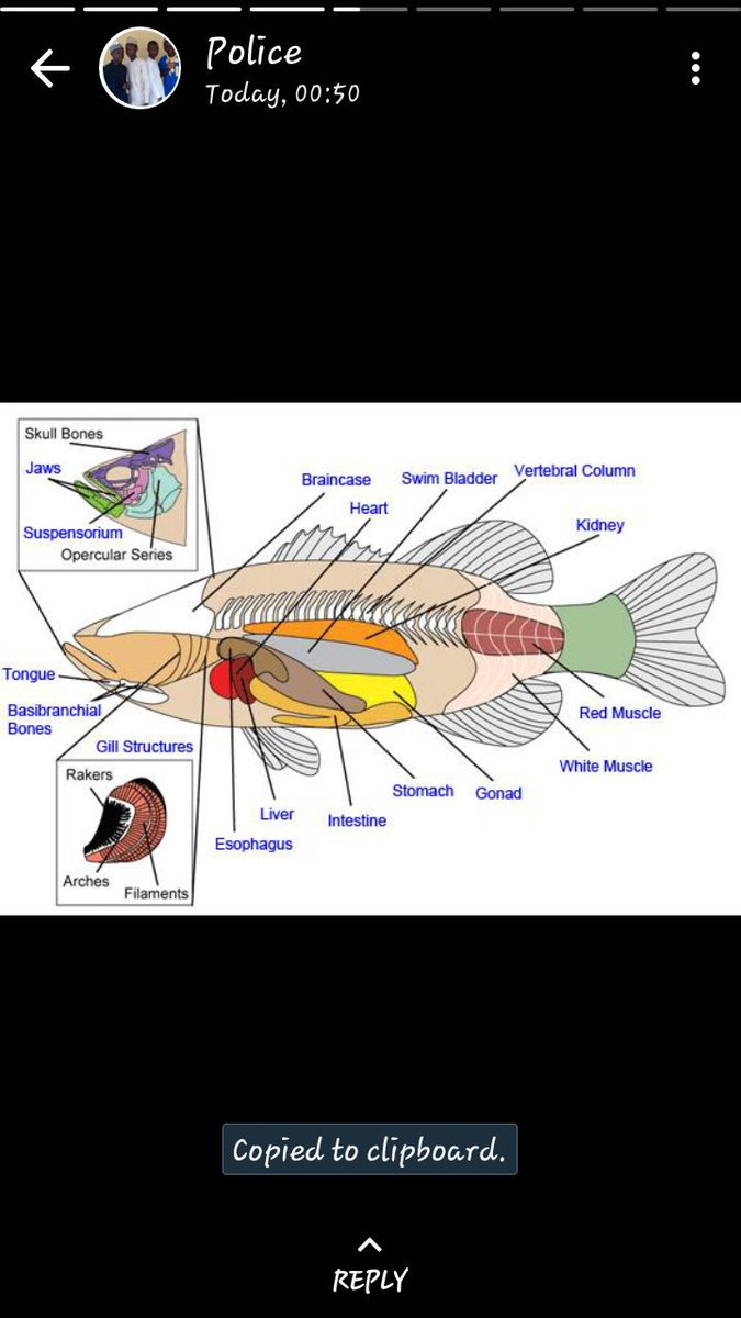 Suspect___me's tweet image. I love science