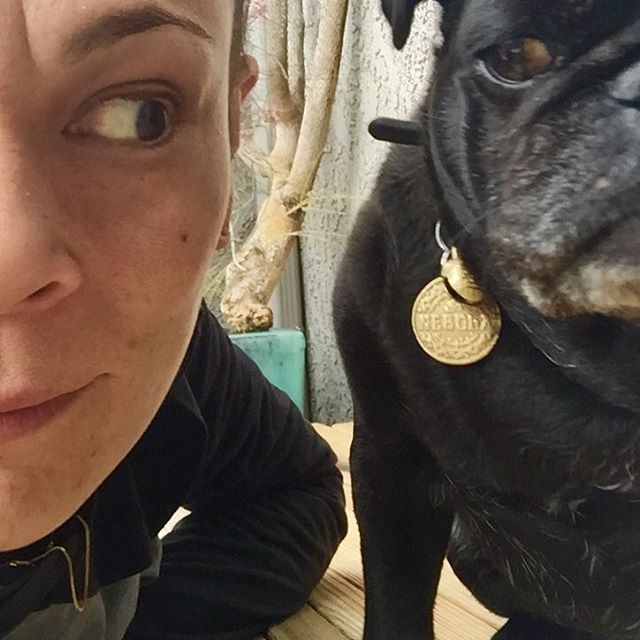 #smushyfacearmy #seniorpugsrule #rescuepugsofinstagram #nursenebbie #pugpictures📷🐾 #happypugmothersday #sergeantmajorofthesmushyfacearmy