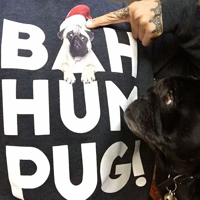 #smushyfacearmy #seniorpugsrule #rescuepugsofinstagram #nursenebbie #pugpictures📷🐾 #happypugmothersday #sergeantmajorofthesmushyfacearmy