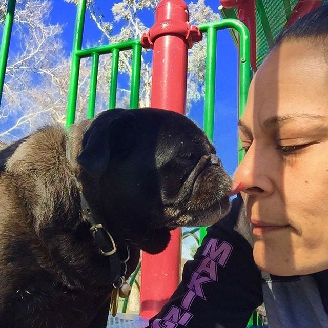 #smushyfacearmy #seniorpugsrule #rescuepugsofinstagram #nursenebbie #pugpictures📷🐾 #happypugmothersday #sergeantmajorofthesmushyfacearmy