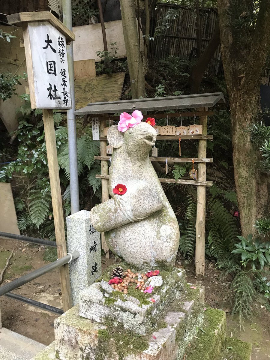 猫が亡くなった数日後には母と始発で京都へ花見に行きました? 