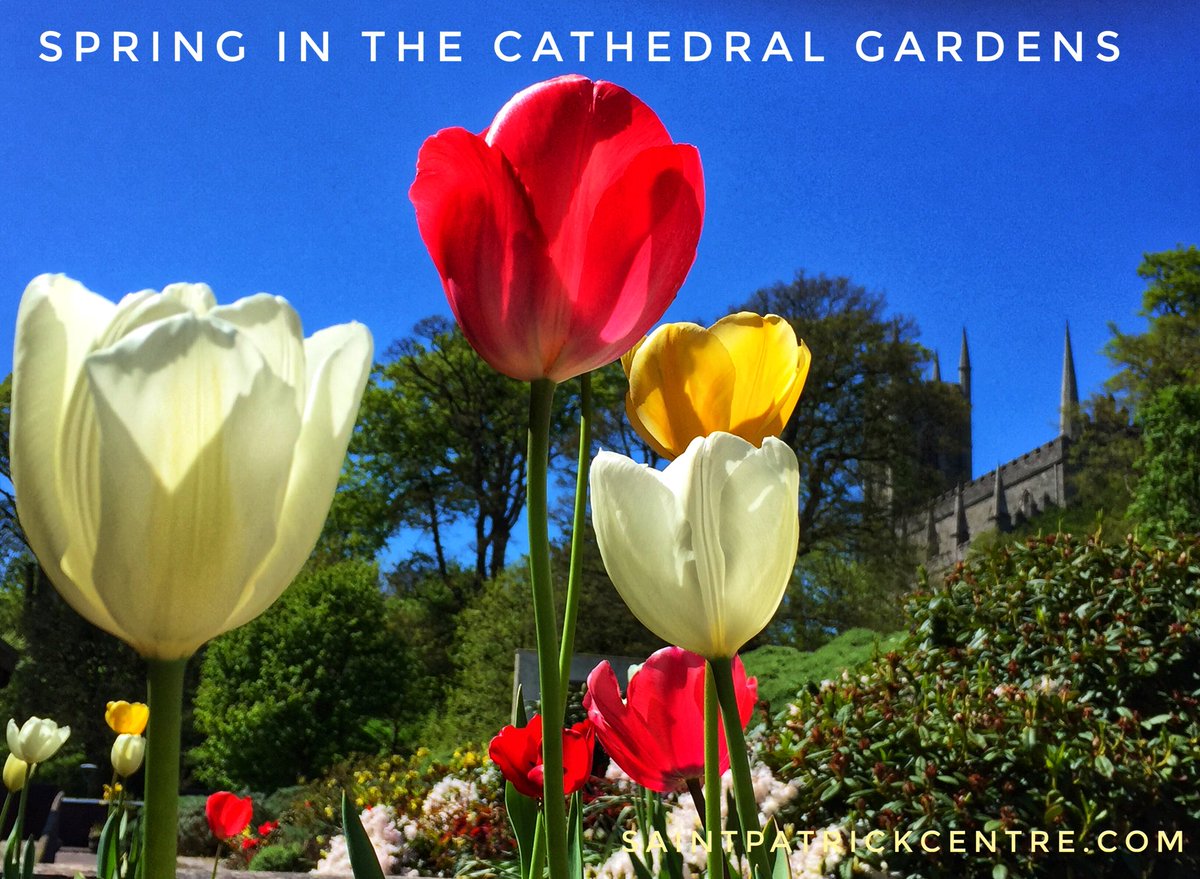 Spring is finally coming to the St Patrick Centre Gardens.