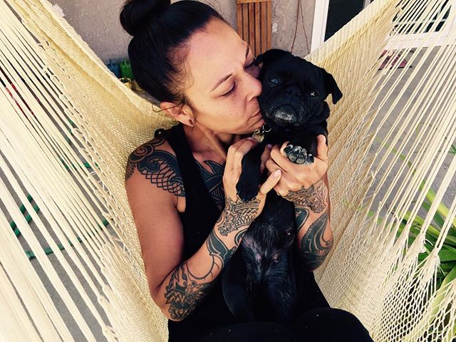 #nursenebbie #saltandpepperpug #rescuepugsrock #blindinoneeye👁 #happypugmothersday #organicpetboutique #potbellypug🐽