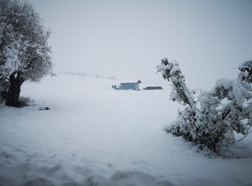 Переглянути зображення у Твіттері