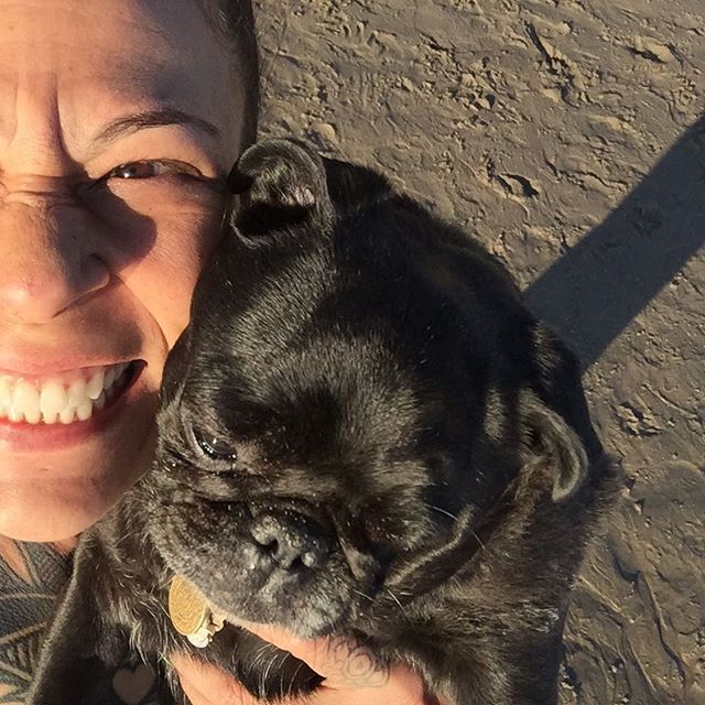 #fartgoblins💨 #nebulathepug #adoptdontshop🐾 #happypugmothersday #nursenebbie #nebulathepotbellypug🐽 #seniorpugsofinstagram