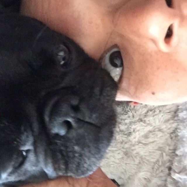 #fartgoblins💨 #nebulathepug #adoptdontshop🐾 #happypugmothersday #nursenebbie #nebulathepotbellypug🐽 #seniorpugsofinstagram