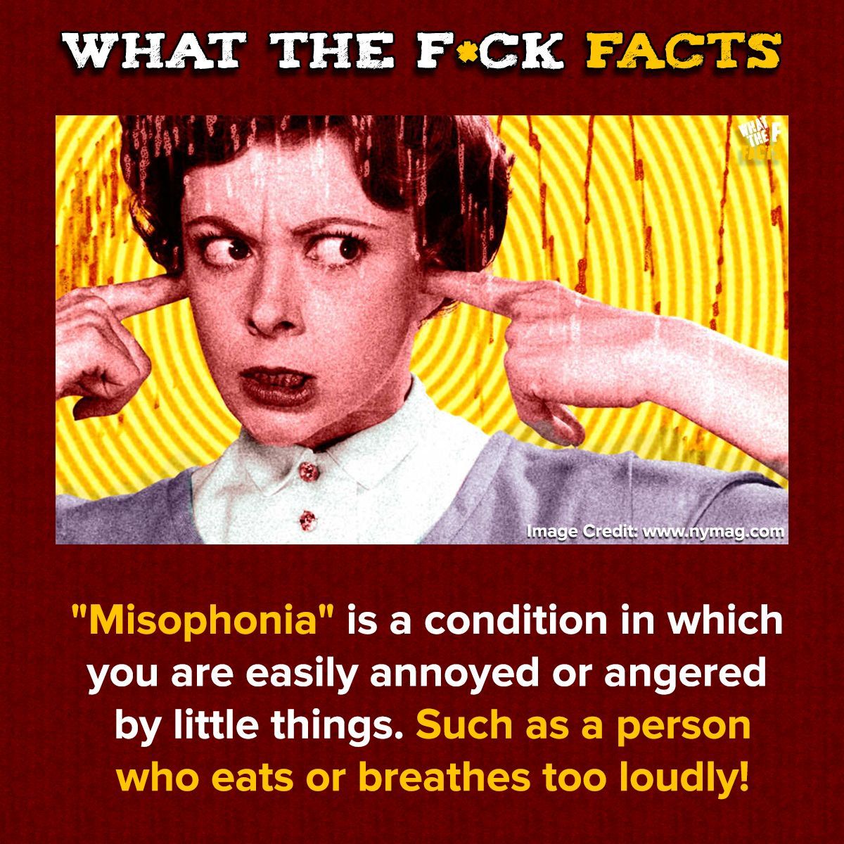 WhatTheFFacts's tweet image. 