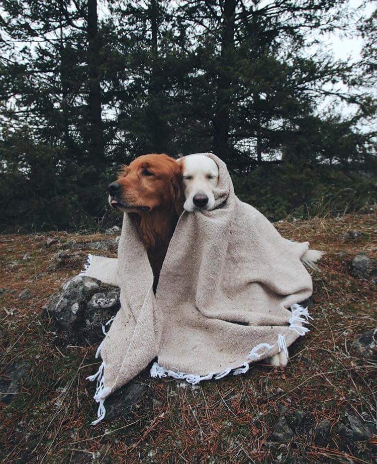 charing_xx's tweet image. Dejadme compartir con todos vosotros a la pareja más adorable del mundo: