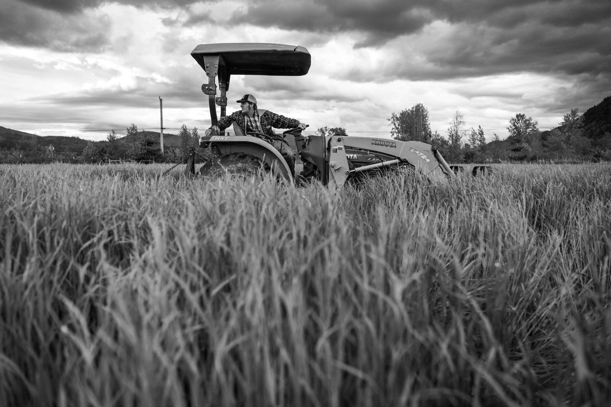 It's always exciting this time of year because so much is changing here on the farm. Mowing in the cover crop and plowing the fields is essential to returning all the natural tilth to the fields for this year's herb crops. #farmlife #tilth #mowing #moonvalleyorganics