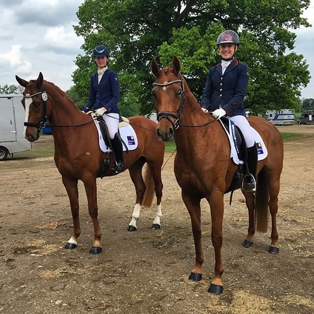 Very proud of Hawtins Lirica being a star today qualifying in the 4yrs at Addington PL with a score of 7.8 ✨🦄💖 #hawtinsstud #britishbred #superstar #britishdressage #younghorse #scharfuk #futurestar