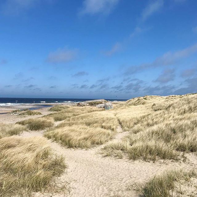herrschnell.com