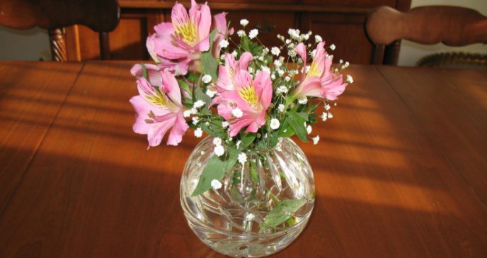 Son Hoping $17 Worth Of Flowers Will Be Nice Substitute For Grandchildren
thewhiskeyjournal.com/son-hoping-17-…