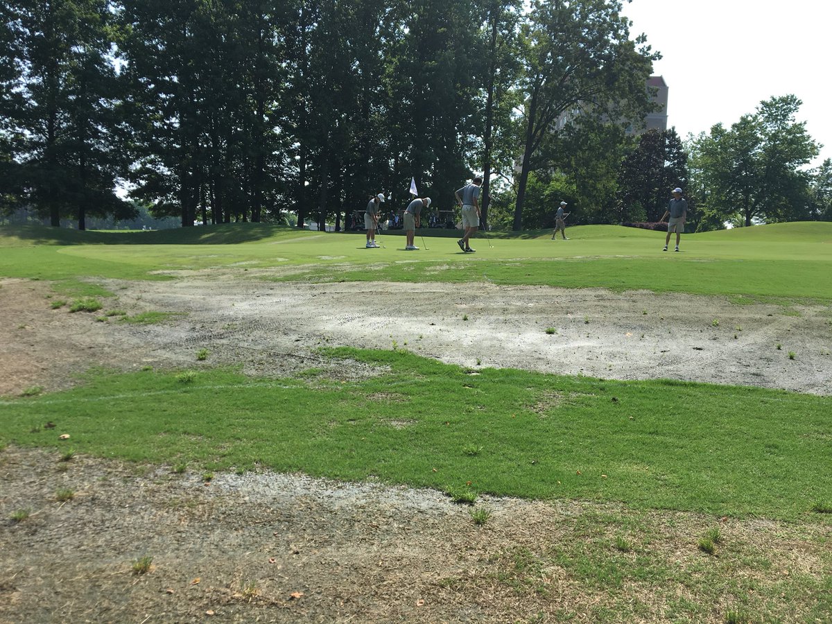 guy_d3's tweet photo. Got winter kill? #wedo #natty #d3 #guy #d3guy https://t.co/rFRO3A97ox