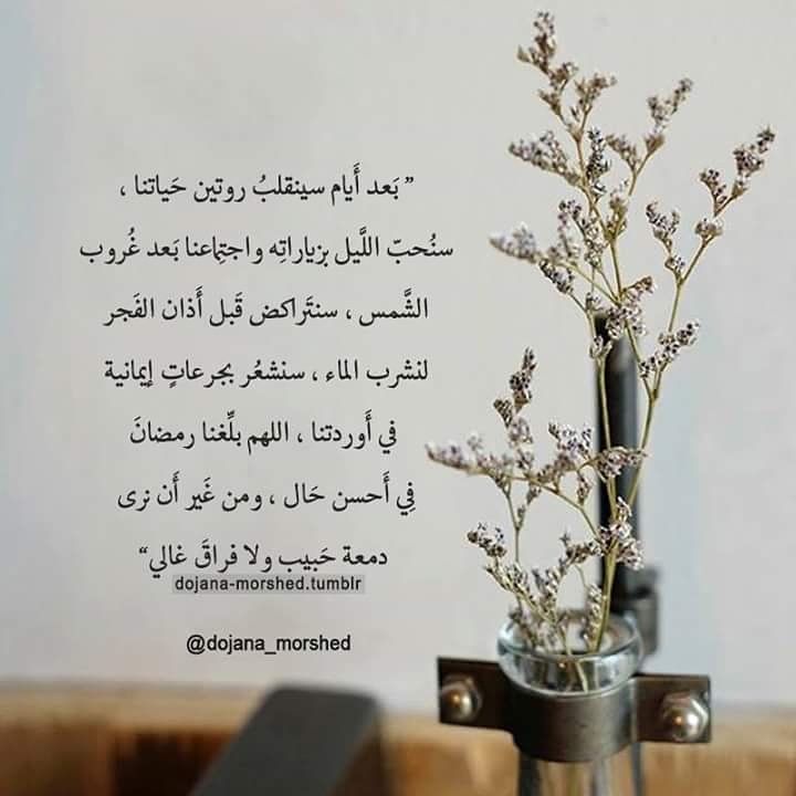 🌹زهرة حسين🌹 (@zahrahs189) on Twitter photo 