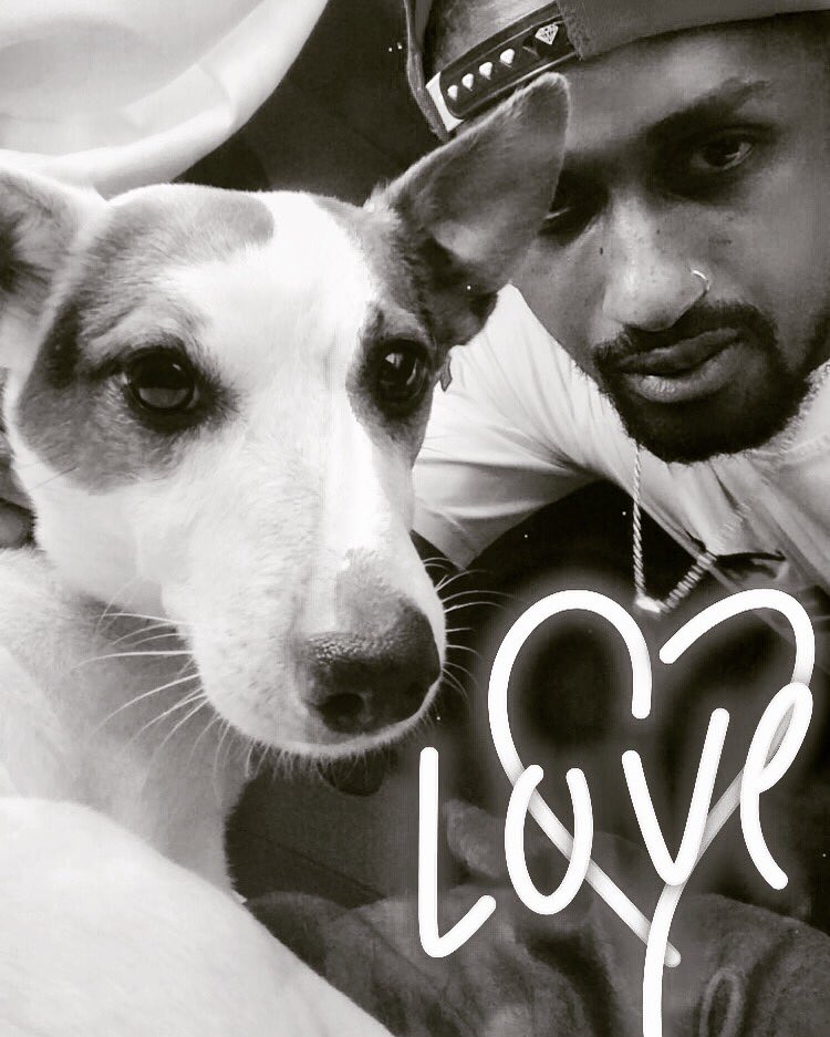 Jayrmm's tweet photo. Un amour de chien!🐶 https://t.co/cL1wJGRHF2