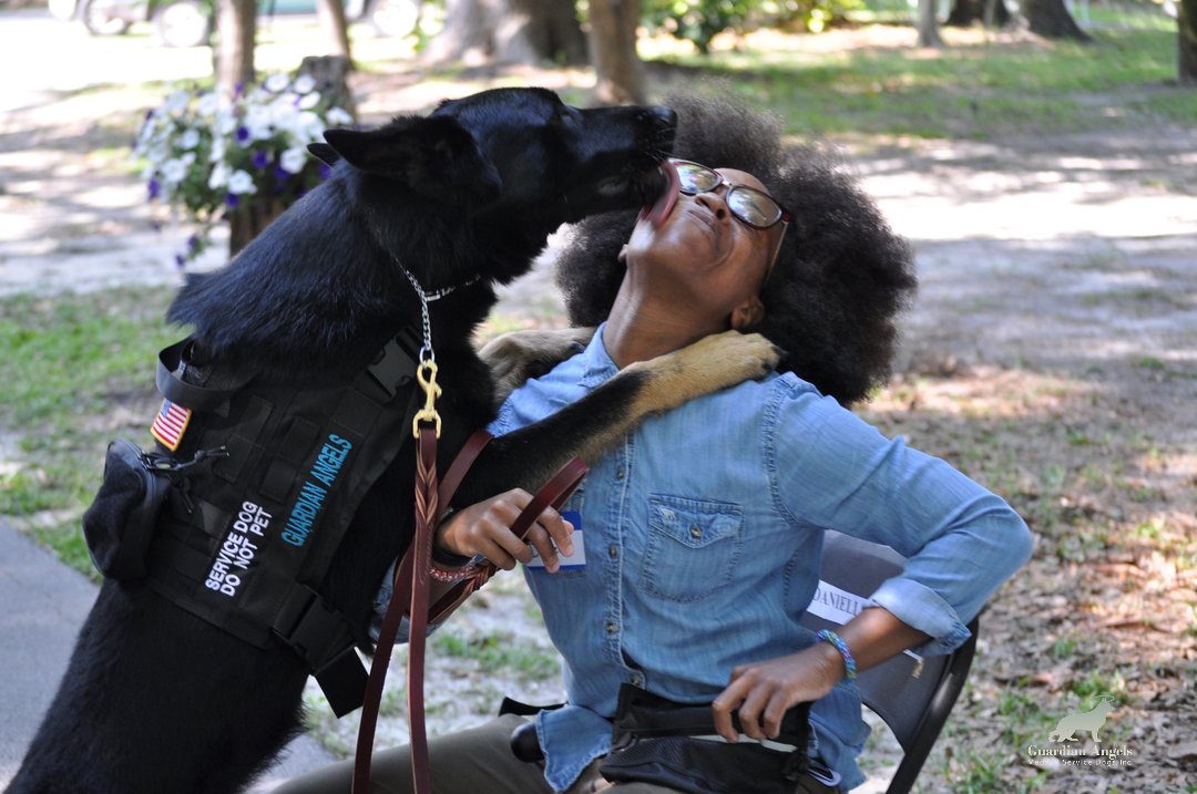 MediServiceDogs's tweet photo. It didn't take long for this #AirForce #Veteran to fall head over heels in 💙with her Super #ServiceDog! Meet our latest team - Danielle &amp; her Service Dog, Bucky! Congratulations on your pairing!🐾🇺🇸🎉
#Love #Family #GSD #ServiceDogs #Teamwork https://t.co/cT5wneHDPJ