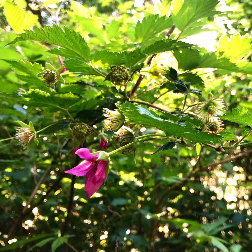 Maureen Evans tweet media