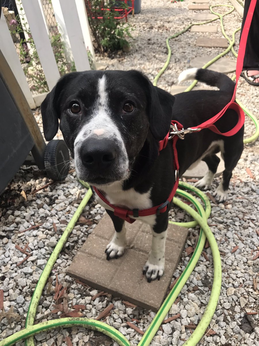 buy The granny square book: