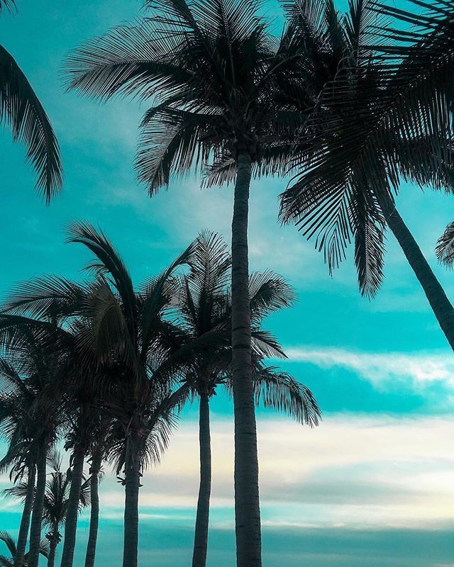proyectoMO's tweet photo. Fotografía por @susieug: "🎼 Stay • surfaces
.
.
.
#travelstoke #wanderfolk #instagoodmyphoto  #NEVERSTOPexploring  #folkgood  #passionpassport #wanderlust  #worldtravelbook #theoutbound  #liveoutdoors
-
#wildernessculture  #welltraveled #earthcapture #peoplescreatives #ultim… https://t.co/9AiY7lOgZ0