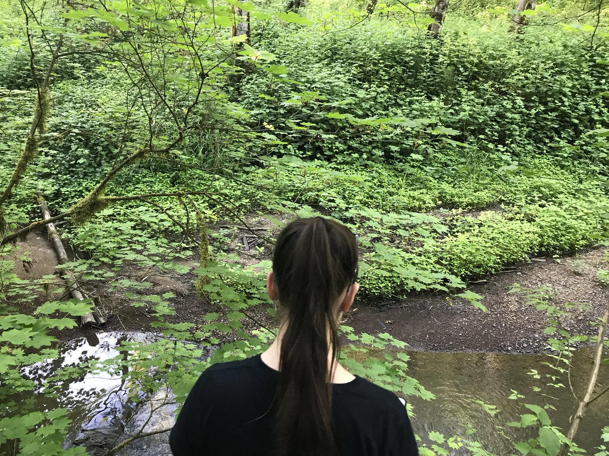 sarahekite's tweet photo. I mean, who IS this girl?
She’s now WILLING to walk tree logs &amp; scramble down muddy embankments to a creek &amp; climb a tree?!

As 15YO gets older, she has evolved into the adventurous kid most children are at 5-7YO.
#MothersDay
#TryonCreek
#Portland
1/ https://t.co/DNAXFk2lsu