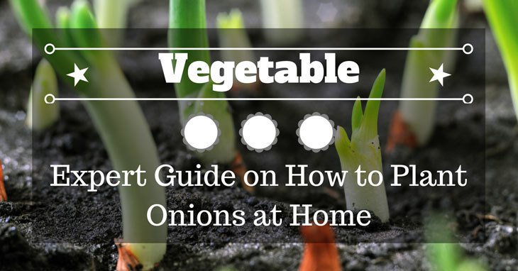 Ella Wilson tweet media