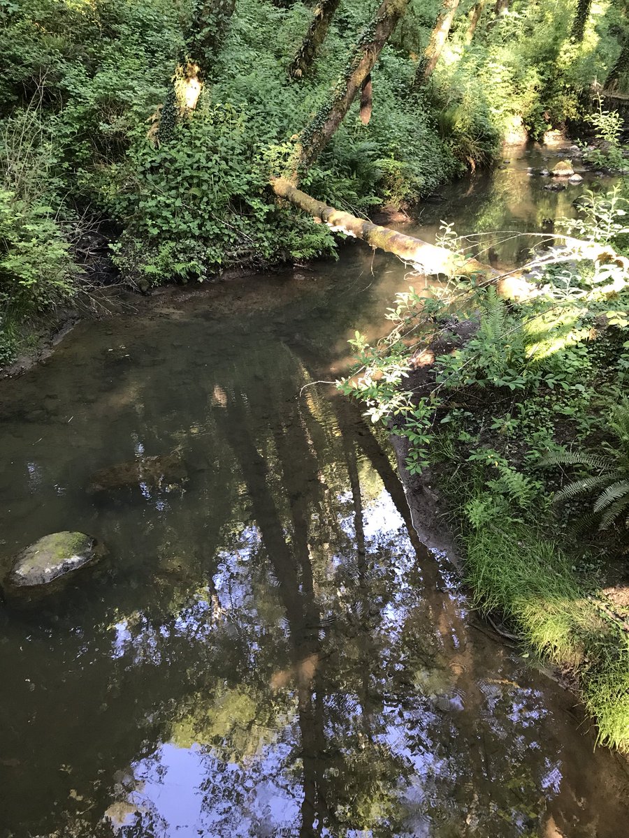 sarahekite's tweet photo. #MothersDay 
#TryonCreek 
#Portland 
3/ https://t.co/NFKRGRJYOP
