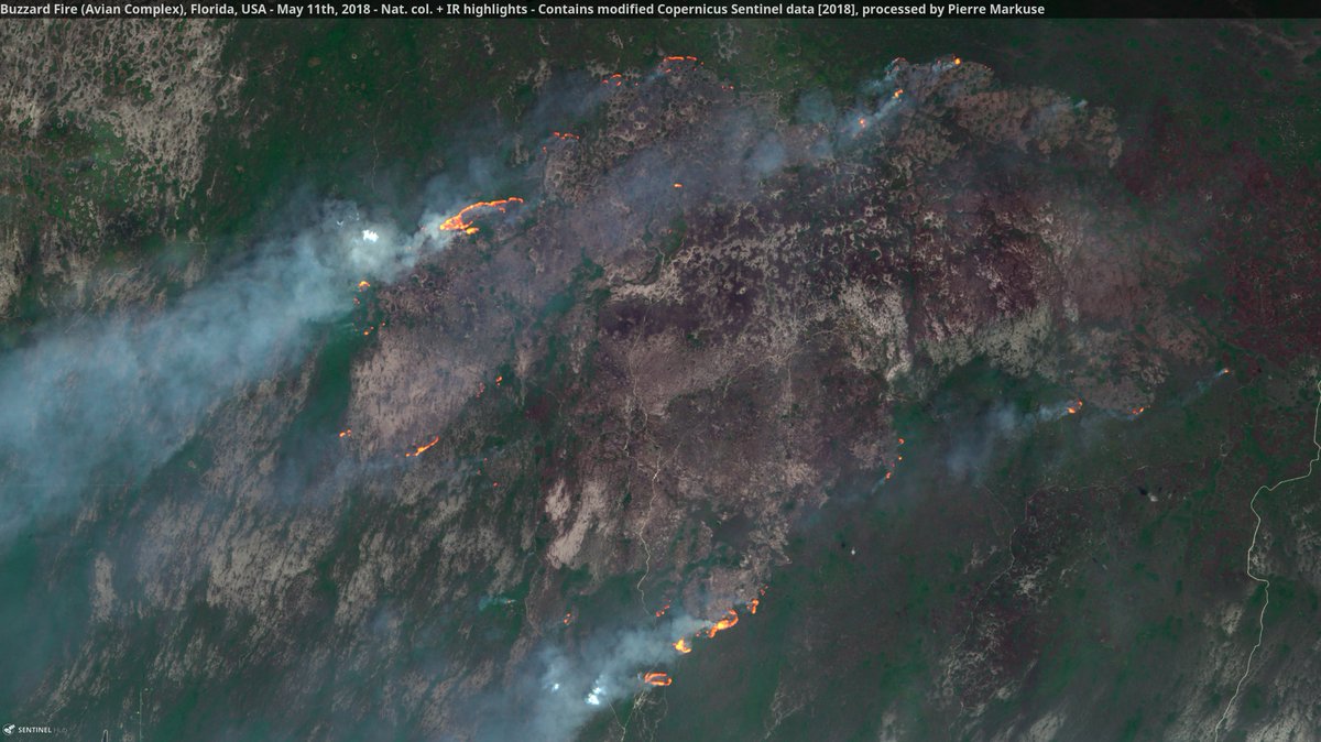Pierre_Markuse's tweet photo. Buzzard Fire🔥 (Avian Complex) #Florida #USA🇺🇸 11 May 2018 Nat. col. + IR highlights #Copernicus #Sentinel-2A🛰️ Full-size: https://t.co/023iz3CE6Y #BuzzardFire #wildfire #AvianComplex https://t.co/DTL5rfPeBQ